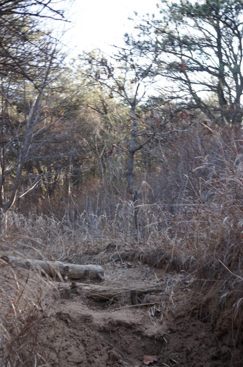 크기변환_DSC01869.JPG