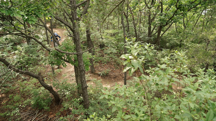 DSC03774.JPG