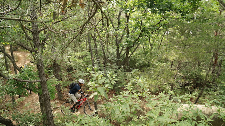 DSC03782.JPG