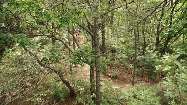 DSC03788.JPG