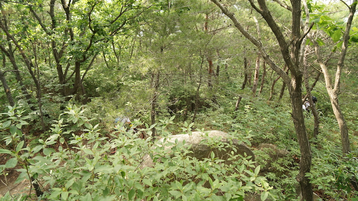 DSC03791.JPG