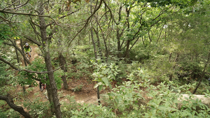 DSC03781.JPG