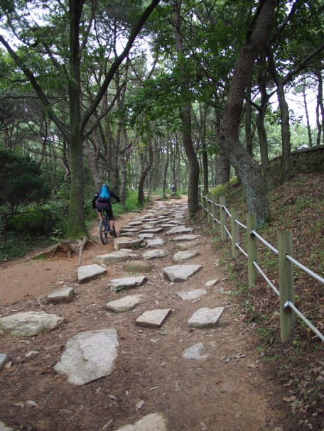 크기변환_P9190037.JPG
