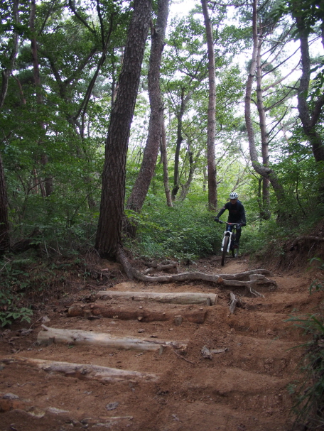 크기변환_P9190119.JPG