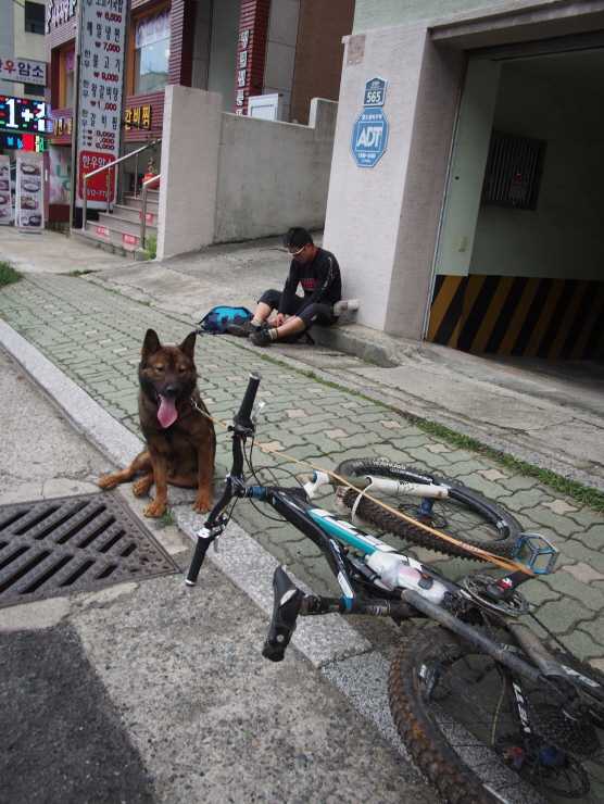 크기변환_P9190131.JPG