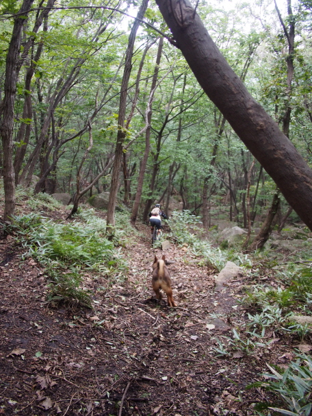 크기변환_P9190094.JPG