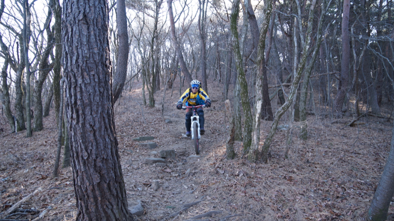 DSC07503.jpg
