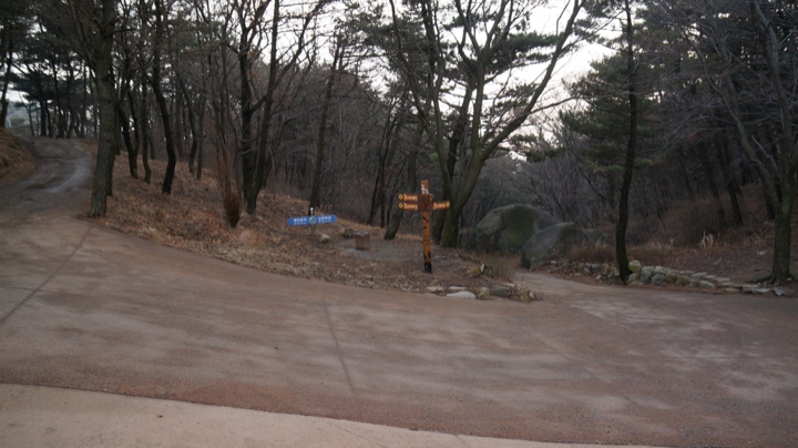 DSC07962.jpg