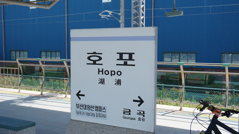 DSC03502.JPG