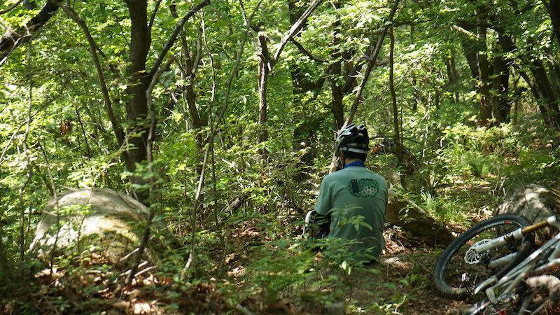 DSC03524.JPG