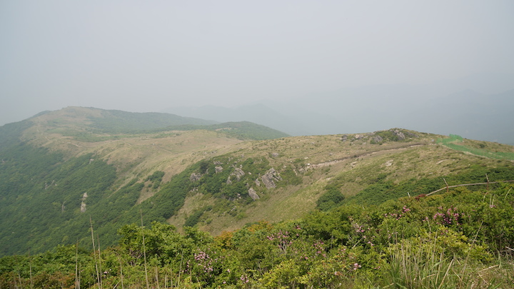 DSC03375.JPG