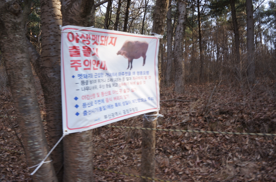 크기변환_DSC05207.JPG