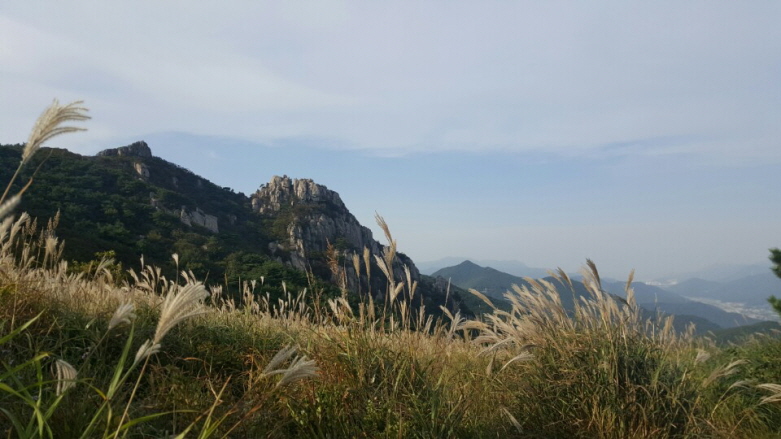 꾸미기_1443866102621.jpeg : 20151003오장터후기.
