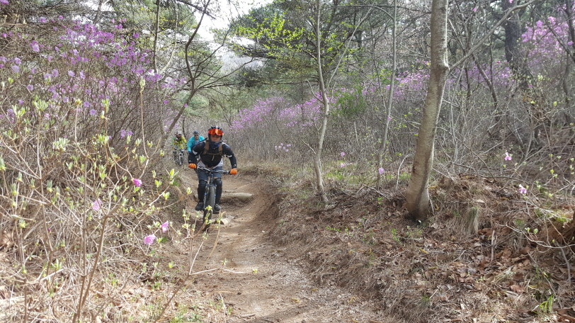 크기변환_20160409_151358.jpg : 2016년4월9일 오장터사진