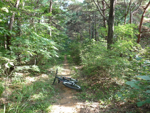 일괄편집_P1000625.JPG