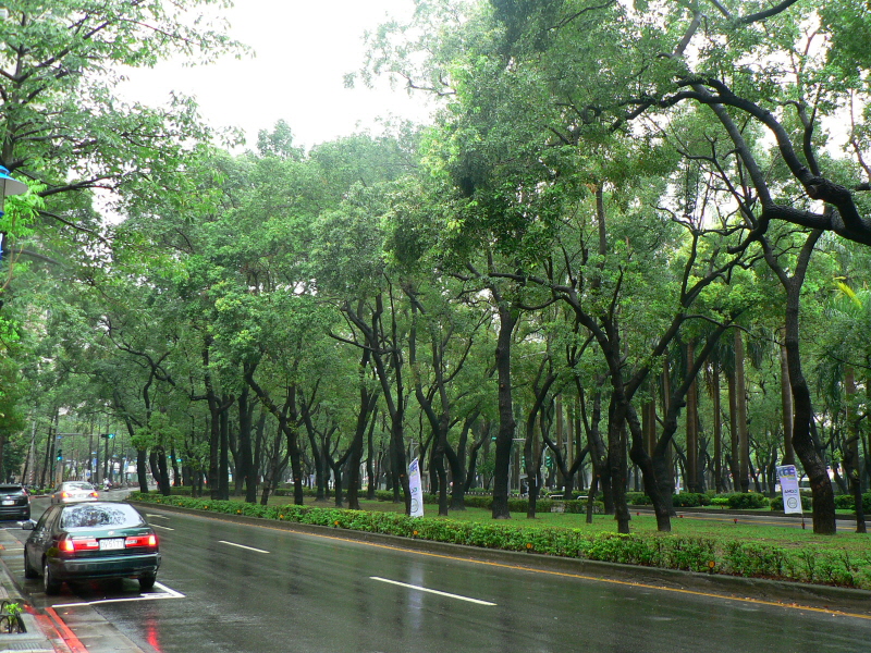 P1140265.JPG