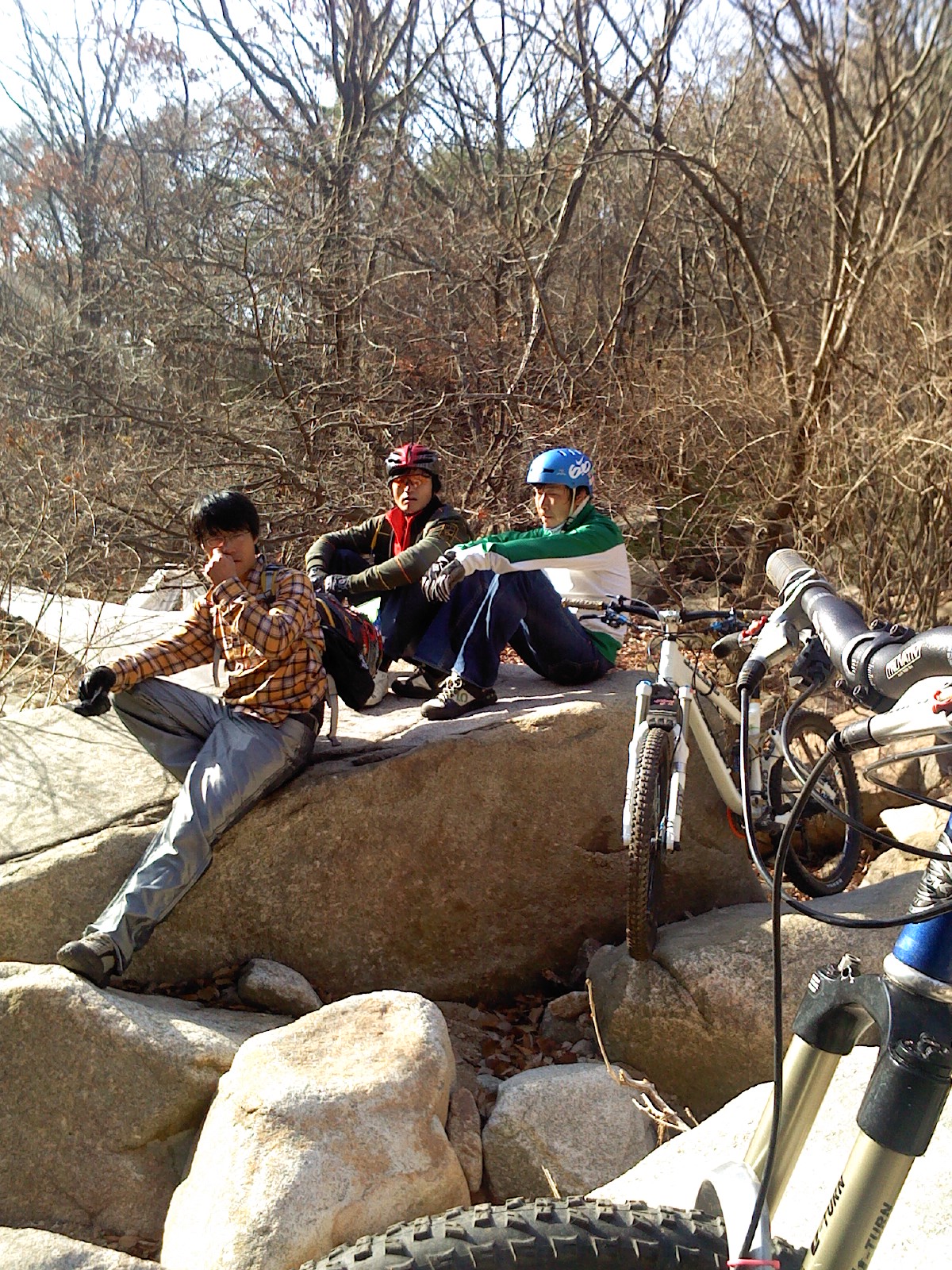 CP101113_002.jpg
