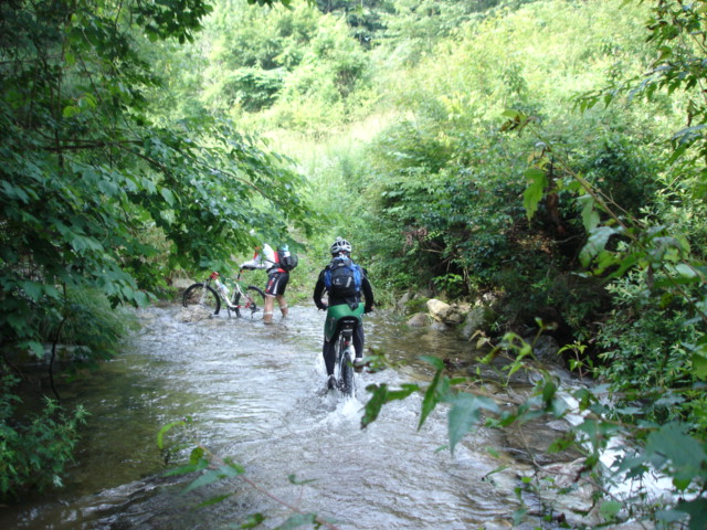 DSC07797.JPG