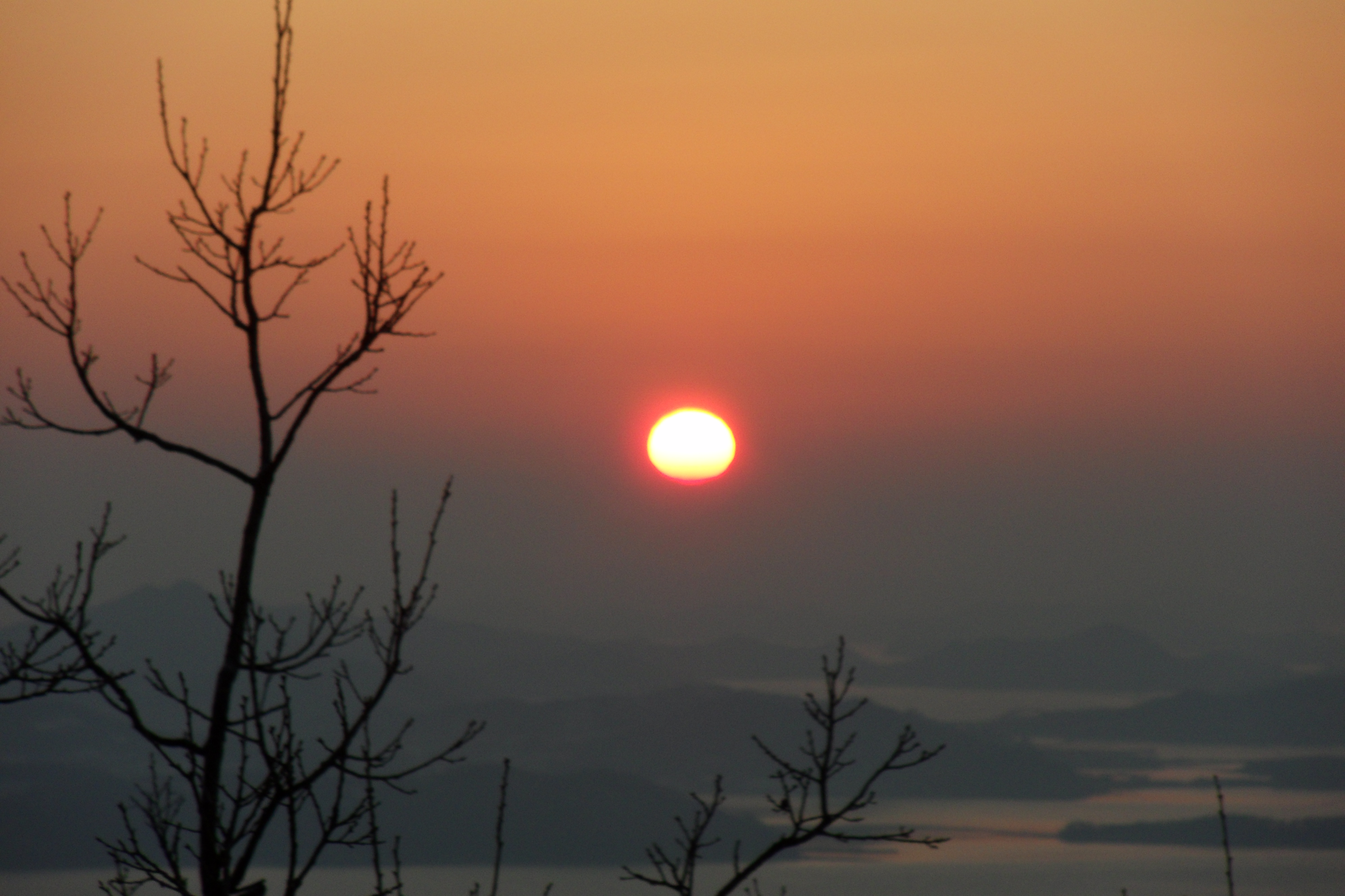 SDC10606.JPG