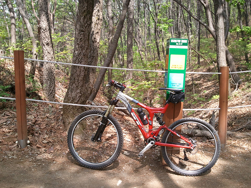 2011-05-08 10.46.40.jpg