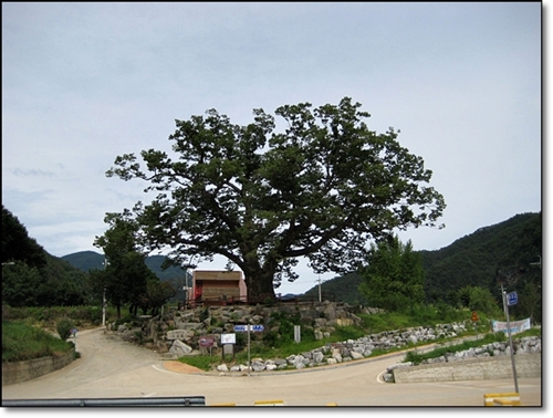 gangwon158.jpg