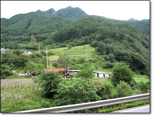 gangwon207.jpg