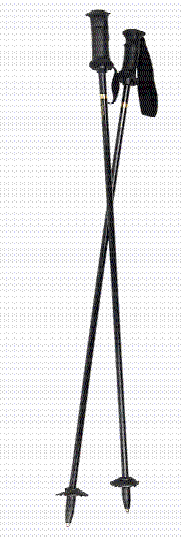 %BD%BA%C5%B0%C6%FA.gif
