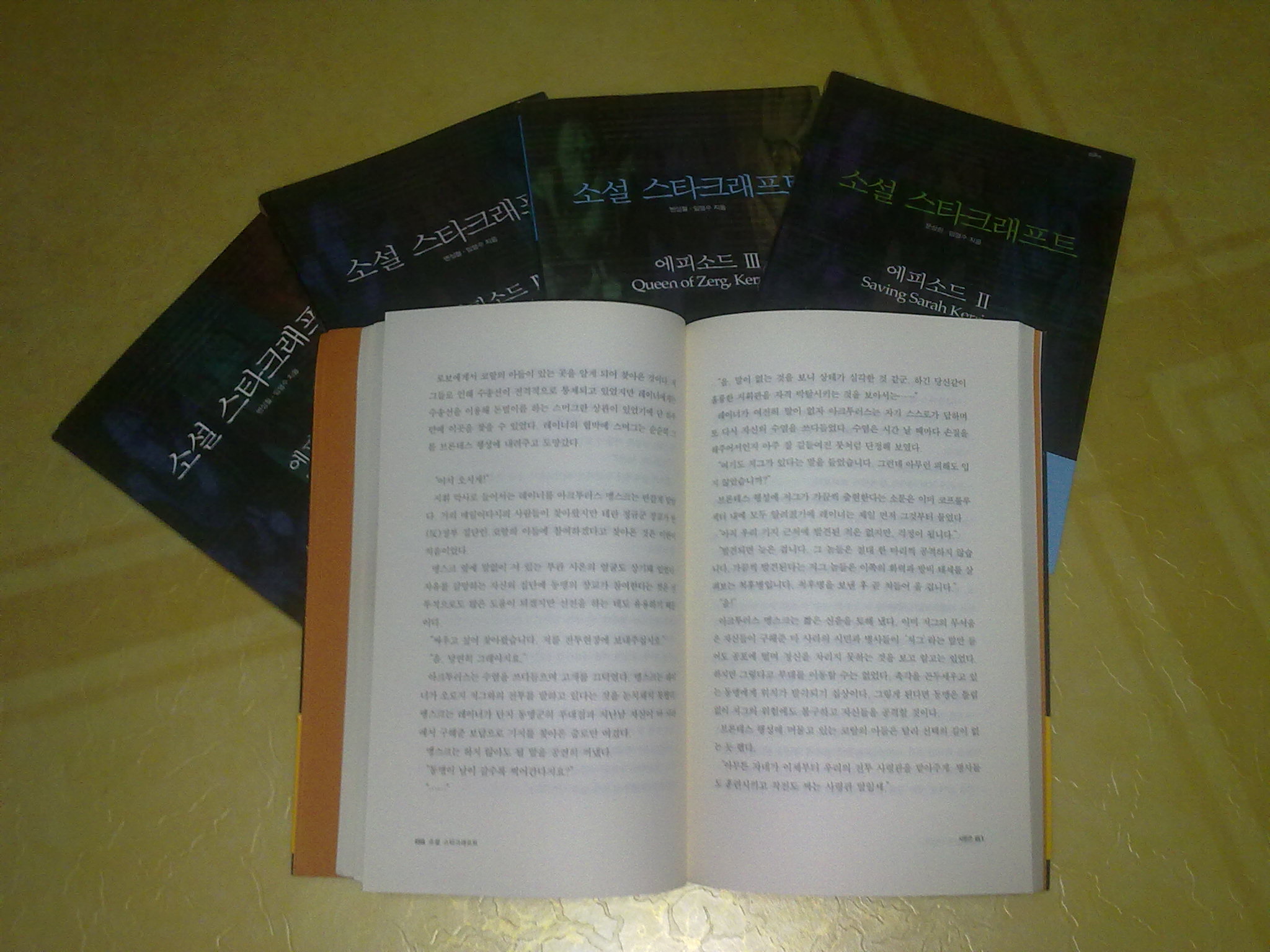 20100510118.jpg