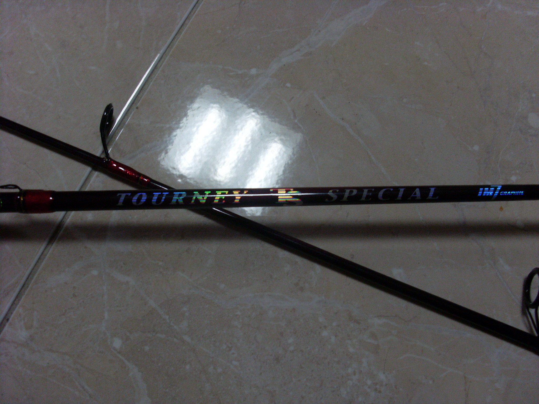 SL383754.JPG
