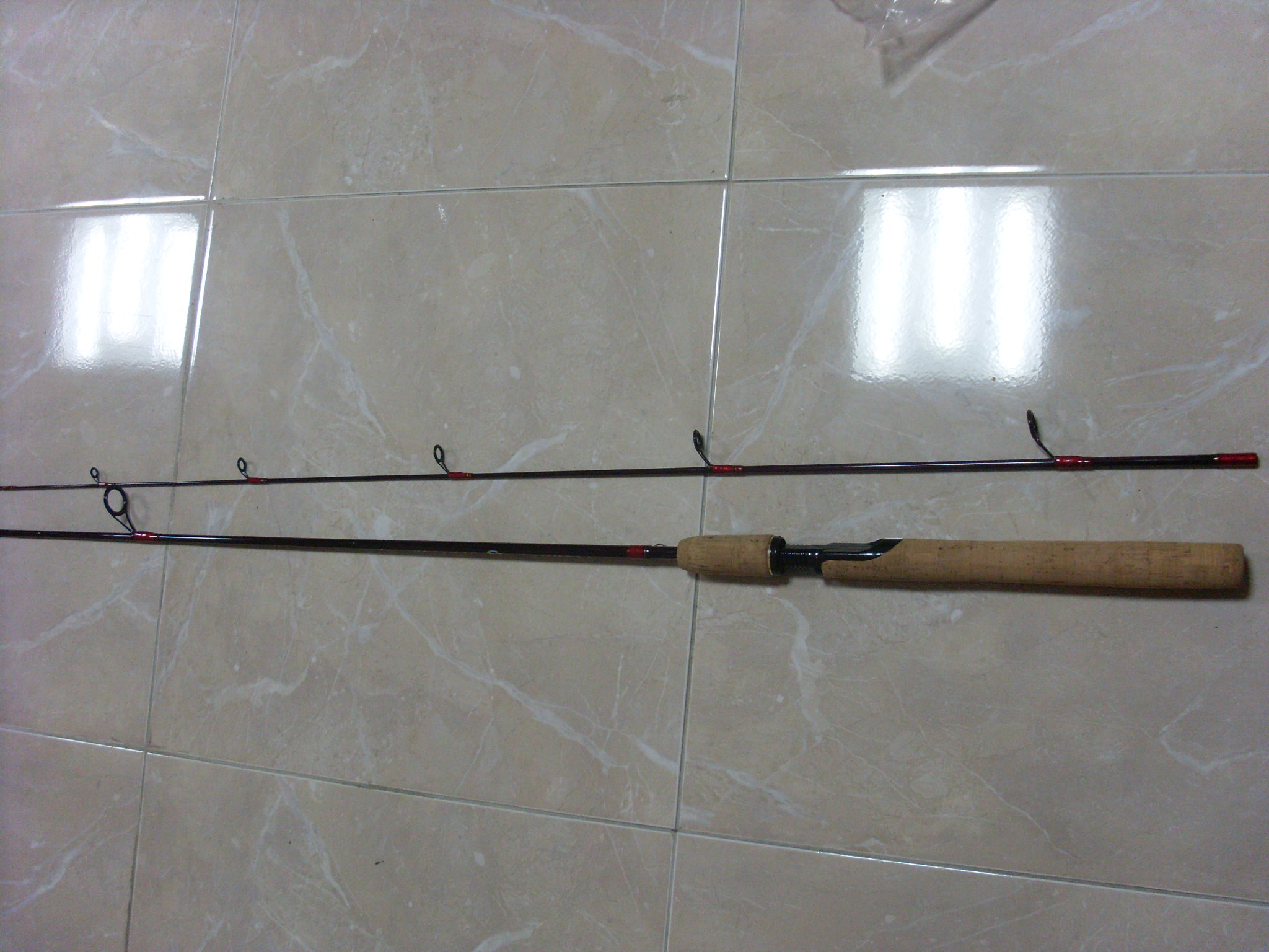 SL383756.JPG