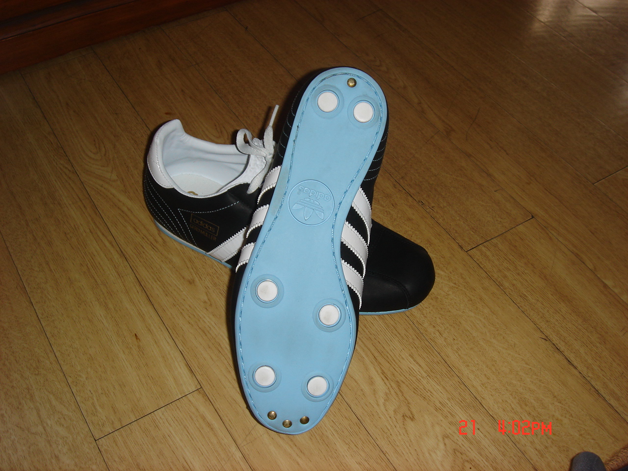 DSC03045.jpg
