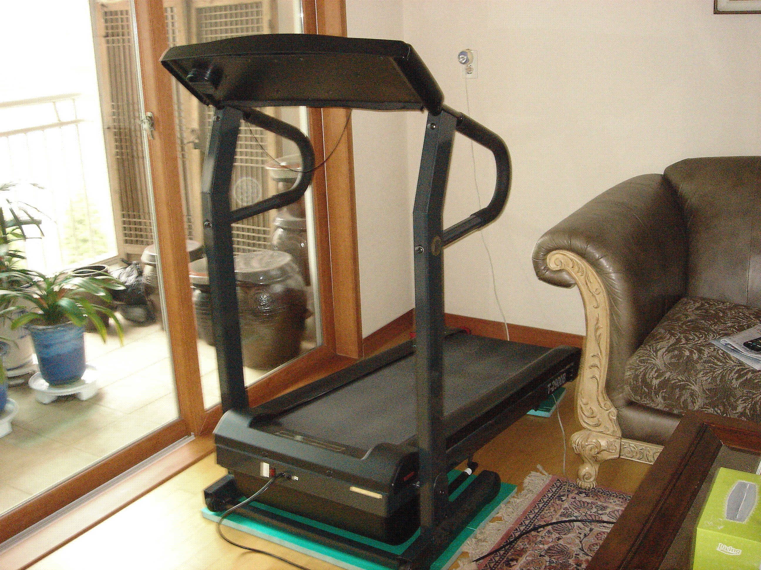 DSC00005.GIF