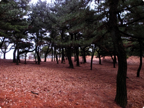올림푸스4.jpg