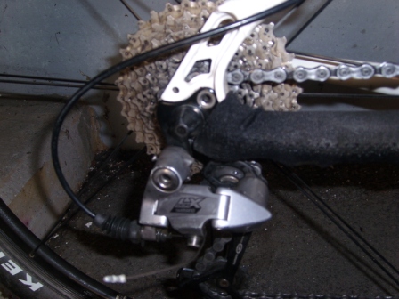 SL730453.JPG