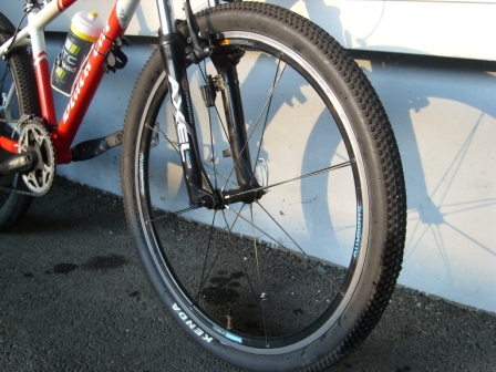 SL730451.JPG