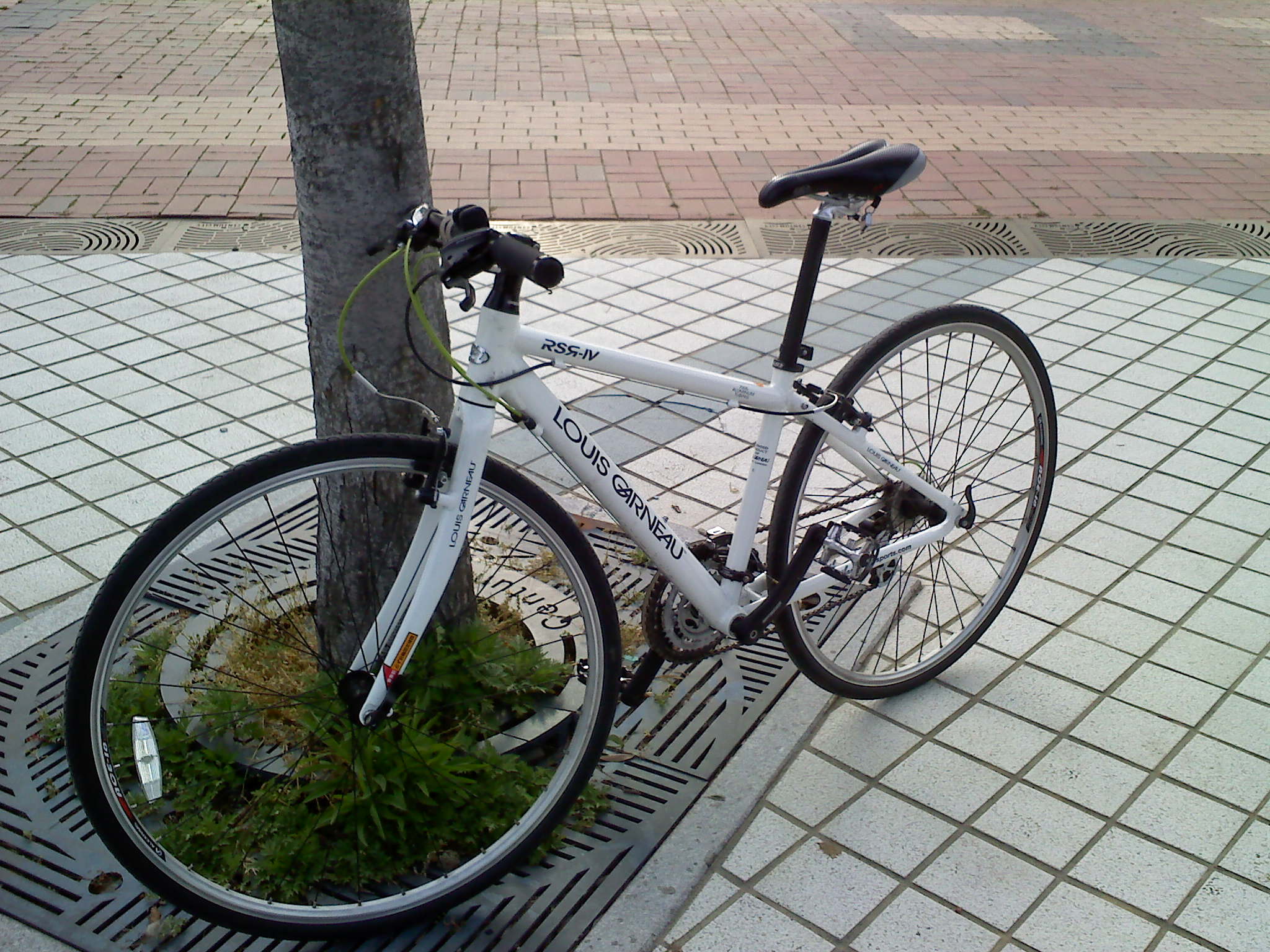 사진100515_010.jpg