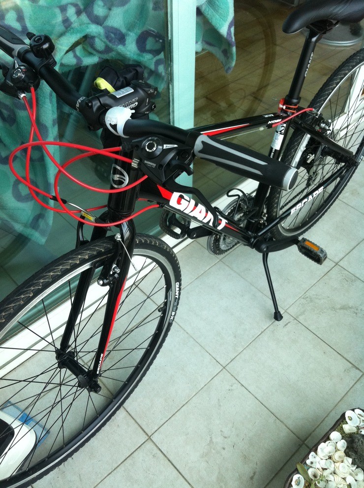 img_0369_iklpo01.jpg : 자이언트 에스케이프2 코비 사이즈s 팝니다!! img_0369_iklpo01.jpg : 자이언트 에스케이프2 코비 사이즈s 팝니다!!
