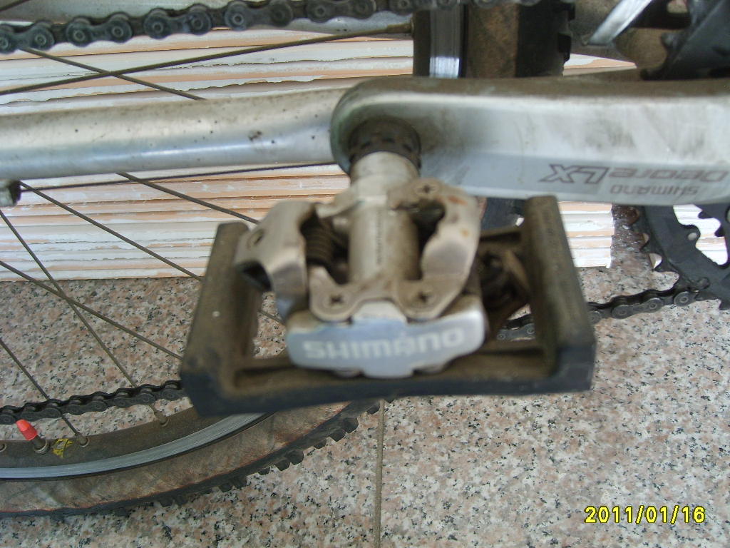 S6001837.JPG