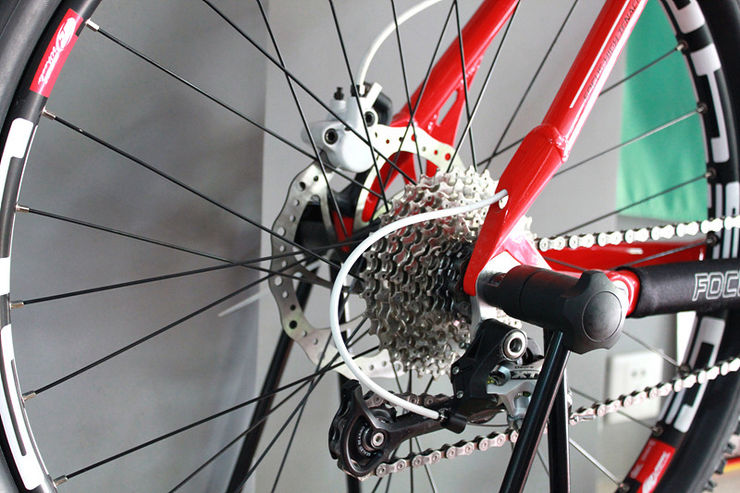kuota 003.jpg