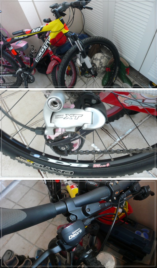 mtb.jpg