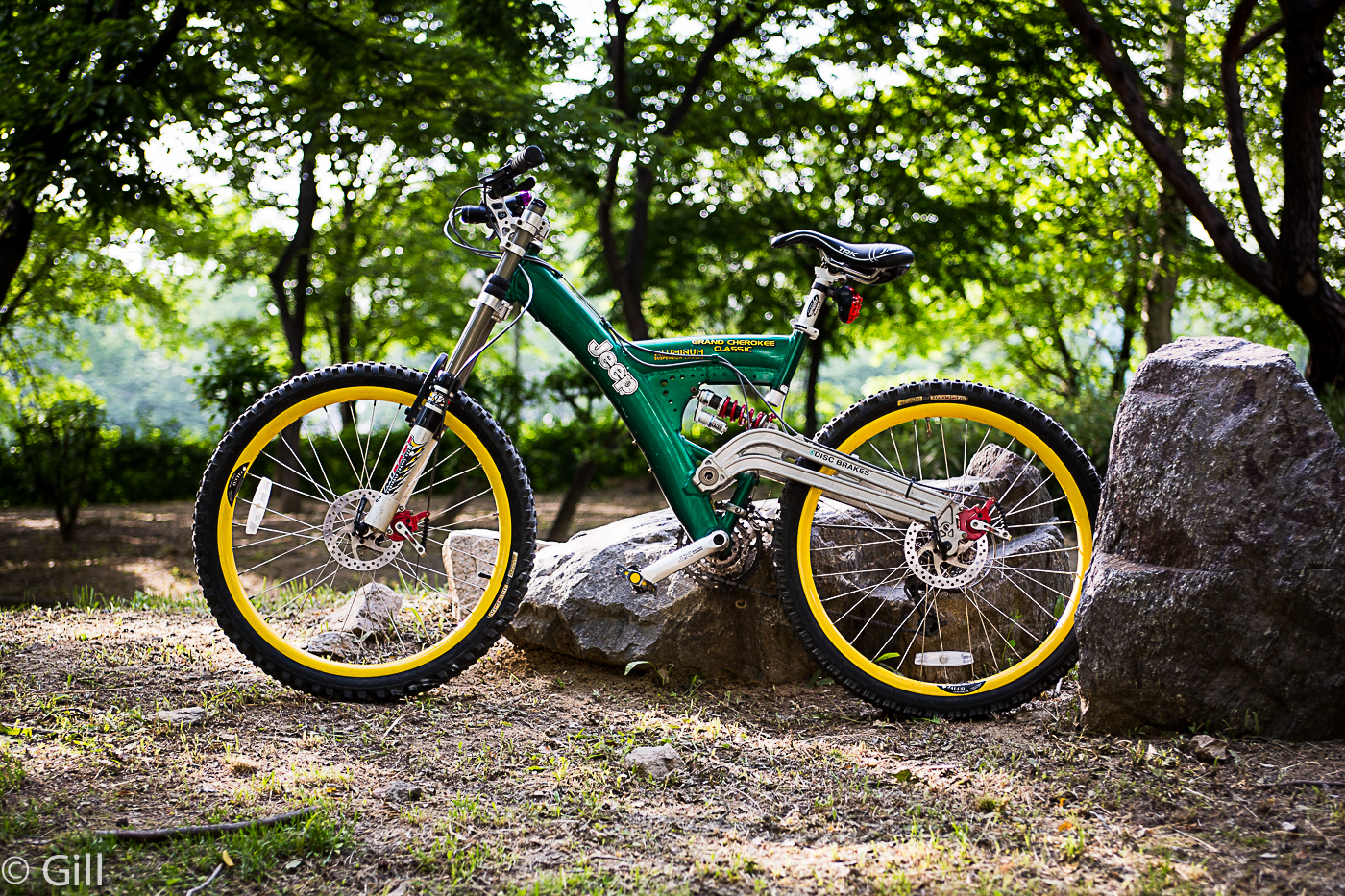 _ILL9434.jpg : 다운힐 1세대 소장용 자전거 판매합니다.
