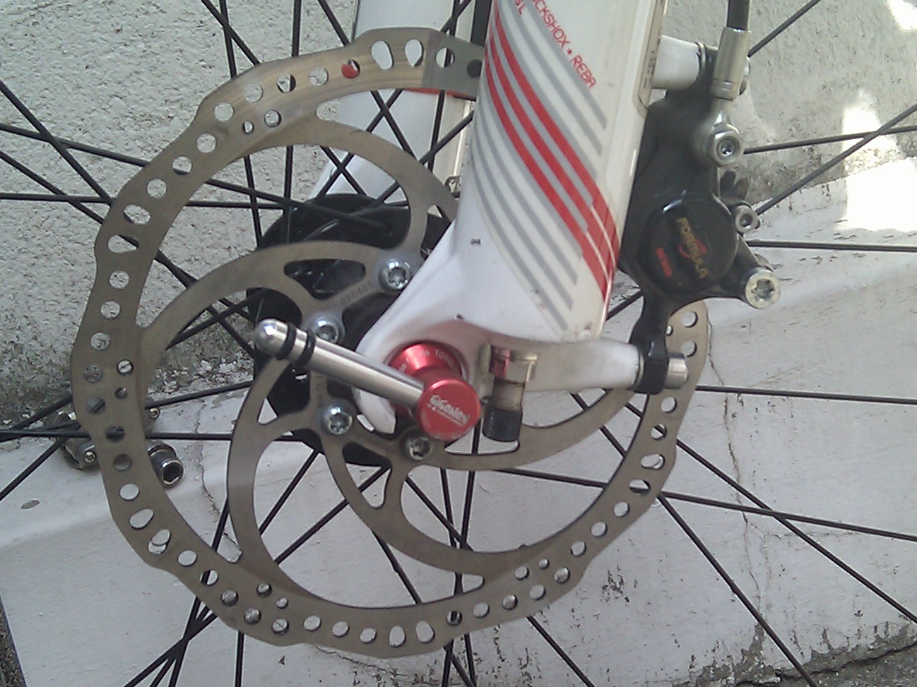 IMG_20110308_135357.jpg