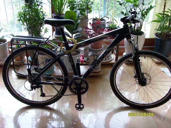 SI850685.JPG