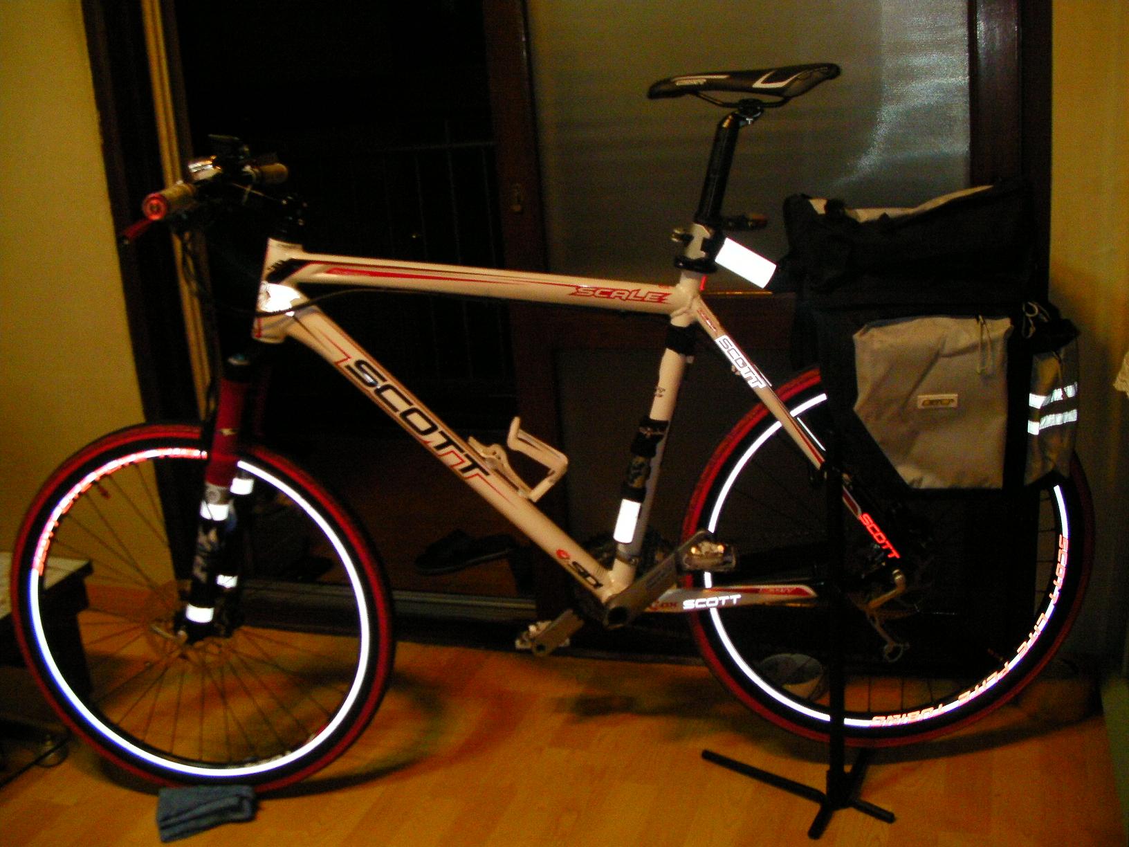 scott scale 40 (23).JPG