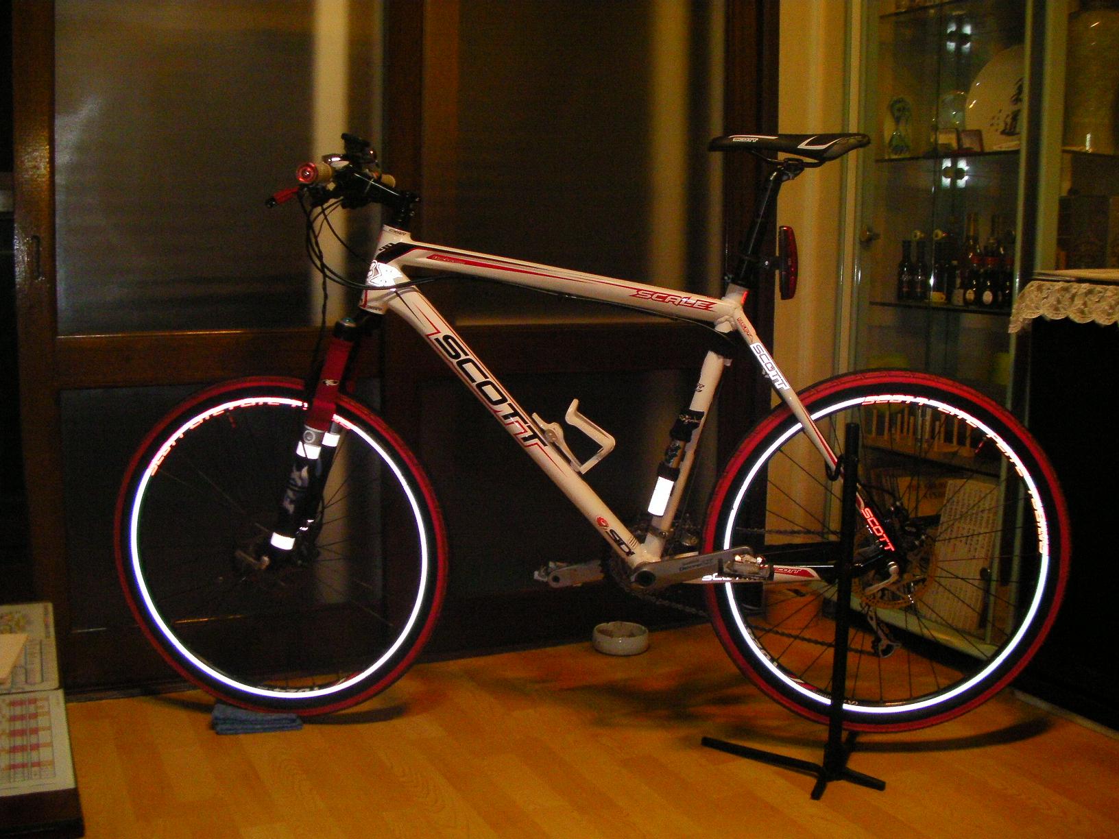 scott scale 40.JPG