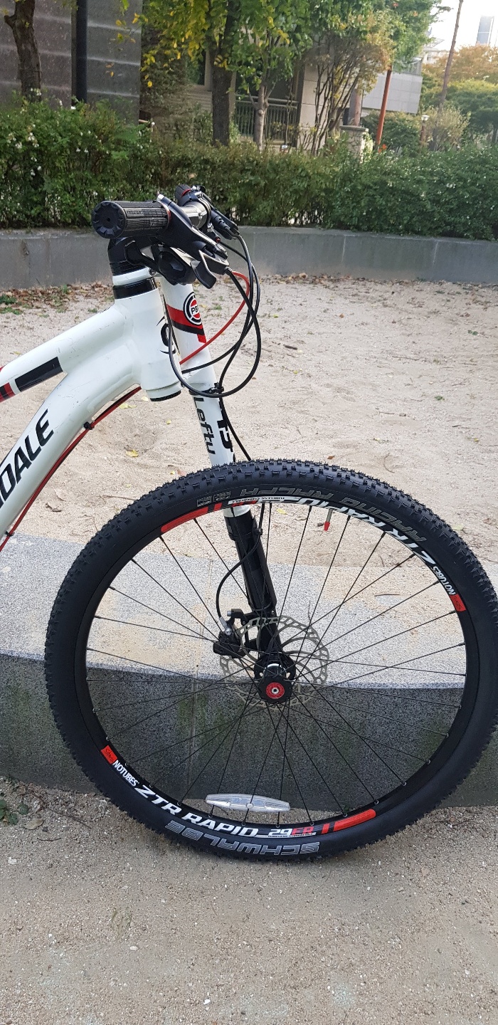 MTBicycle3.jpg