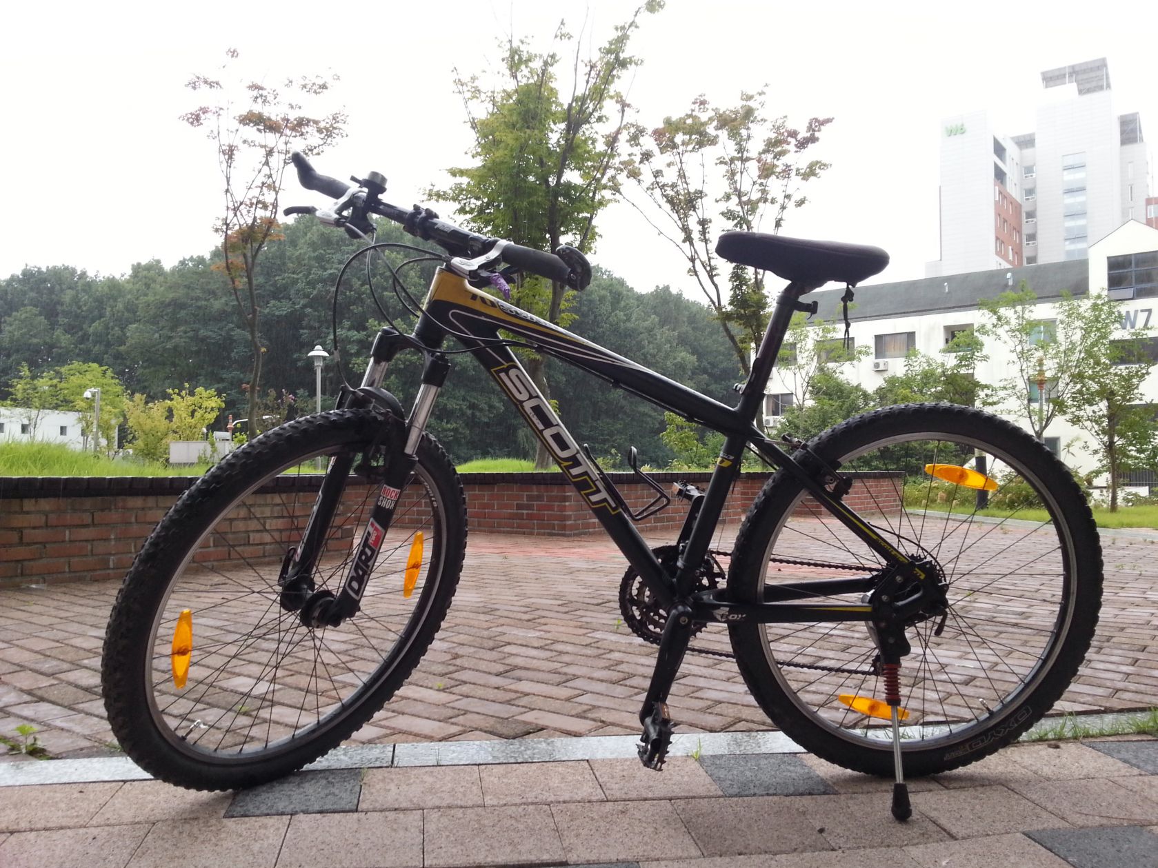 20140817_122946.jpg
