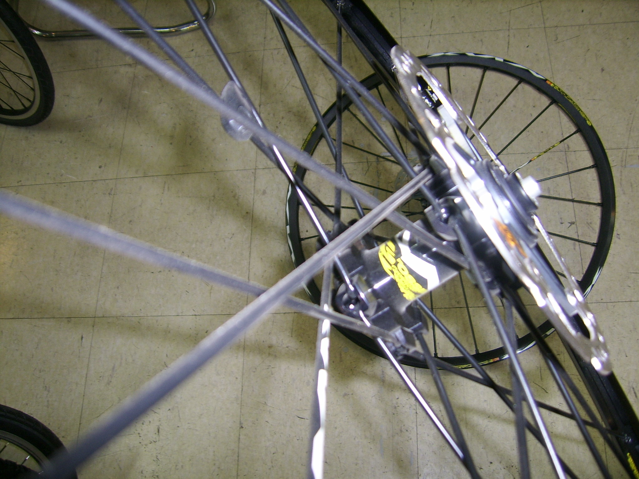 SSA51367.JPG