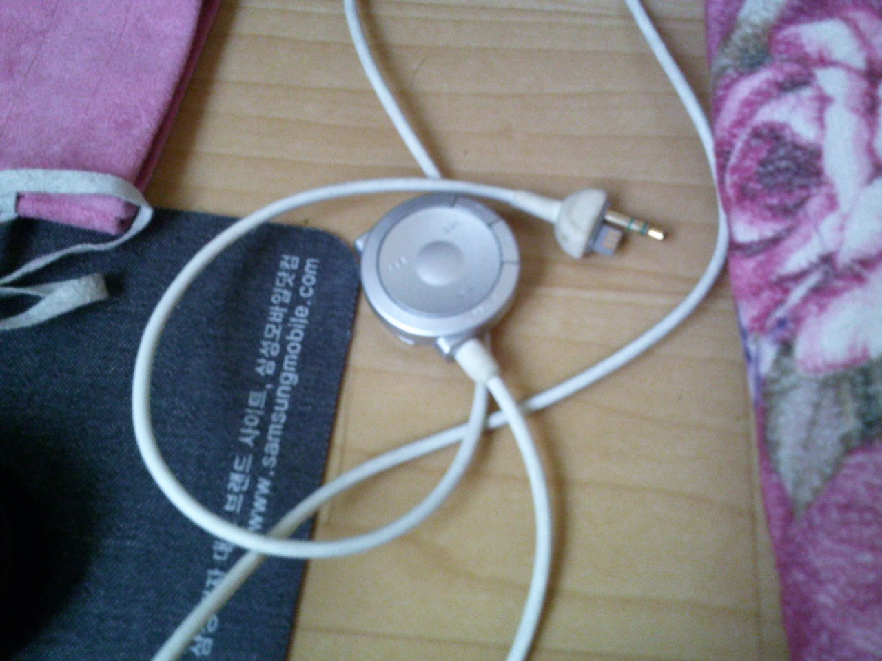 사진100326_026.jpg