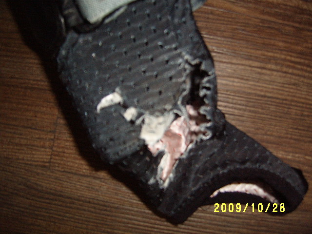 S4300514.JPG